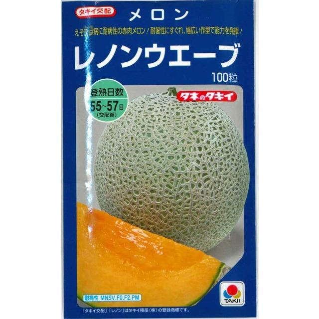 メロン レノンウェーブ 100粒 タキイ種苗（株） : グリーンロフト