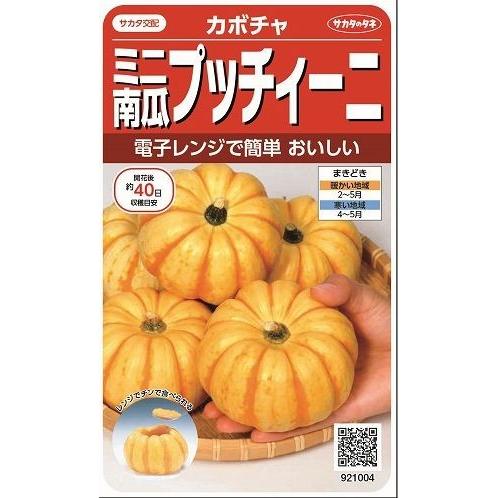 かぼちゃ プッチーニ 7粒実咲 サカタ交配 15 グリーンロフトネモト 通販 Yahoo ショッピング