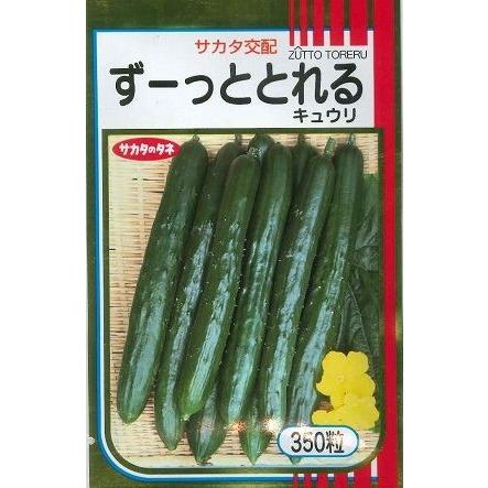 きゅうり ずーっととれるきゅうり 350粒 （株）サカタのタネ 【公式通販】