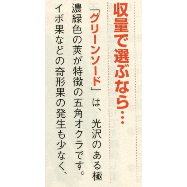 オクラ グリーンソード 1000粒 タキイ種苗（株） : グリーンロフト
