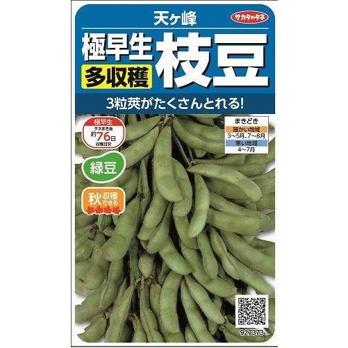 サカタのタネ（サカタノタネ） 枝豆 天ヶ峰 約55粒 （株）サカタのタネ