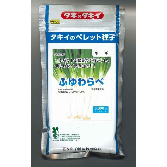 ねぎ ふゆわらべ ペレット種子2L 5千粒 タキイ種苗（株） : グリーン