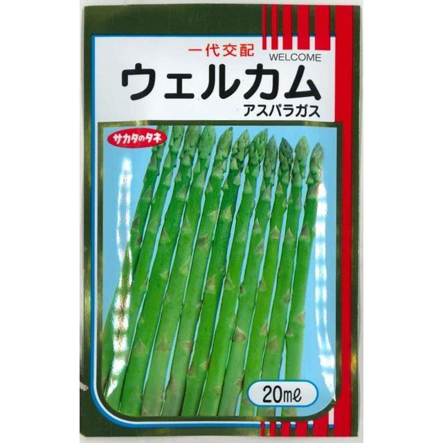 アスパラガス ハイパーウェルカム 1000粒 サカタのタネ（野菜種子 