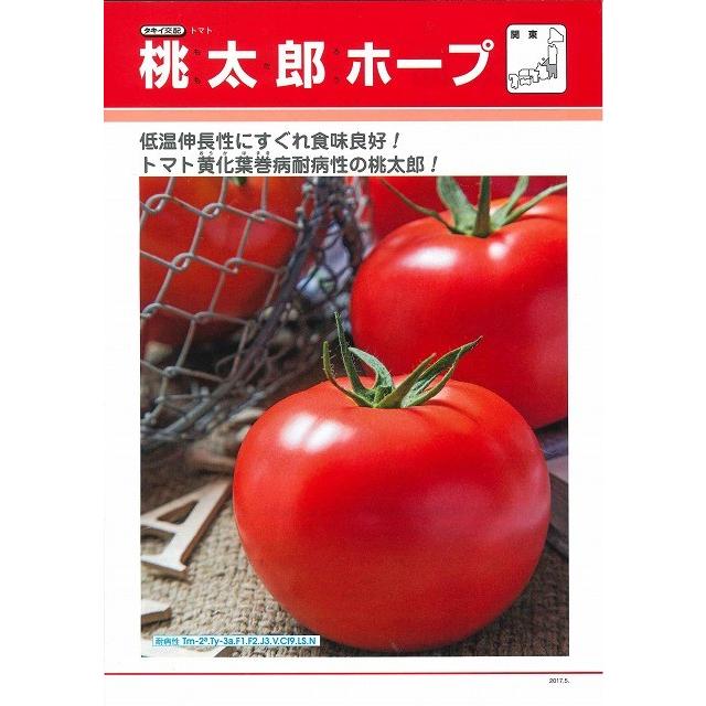 大玉トマト 桃太郎ホープ 1000粒 タキイ種苗（株）_3