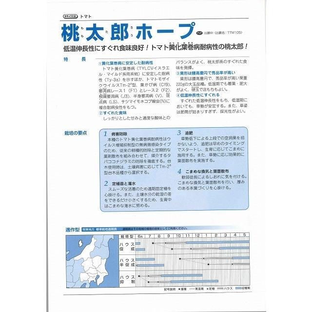 大玉トマト 桃太郎ホープ 1000粒 タキイ種苗（株）_4