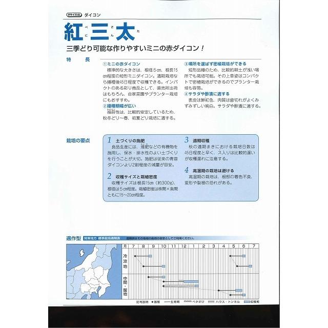 大根 紅三太 2dl タキイ種苗（株）の画像