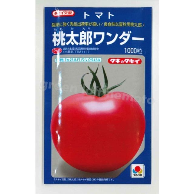トマト 桃太郎ワンダー 1000粒 タキイ交配 :201706301547:グリーンロフトネモト - 通販 - Yahoo!ショッピング トマト 桃太郎ワンダー 1000粒 タキイ交配 :201706301547:グリーンロフトネモト - 通販 - Yahoo!ショッピング
