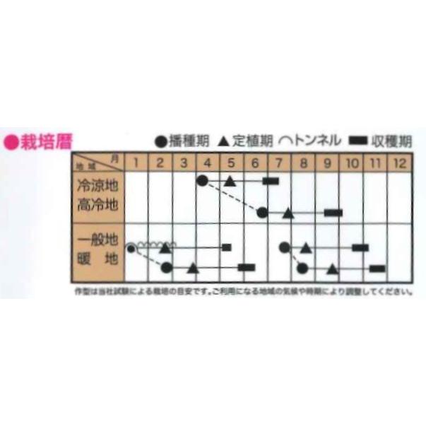 ブロッコリー 翠麟 小袋 ダイヤ交配 グリーンロフトネモト 通販 Yahoo ショッピング