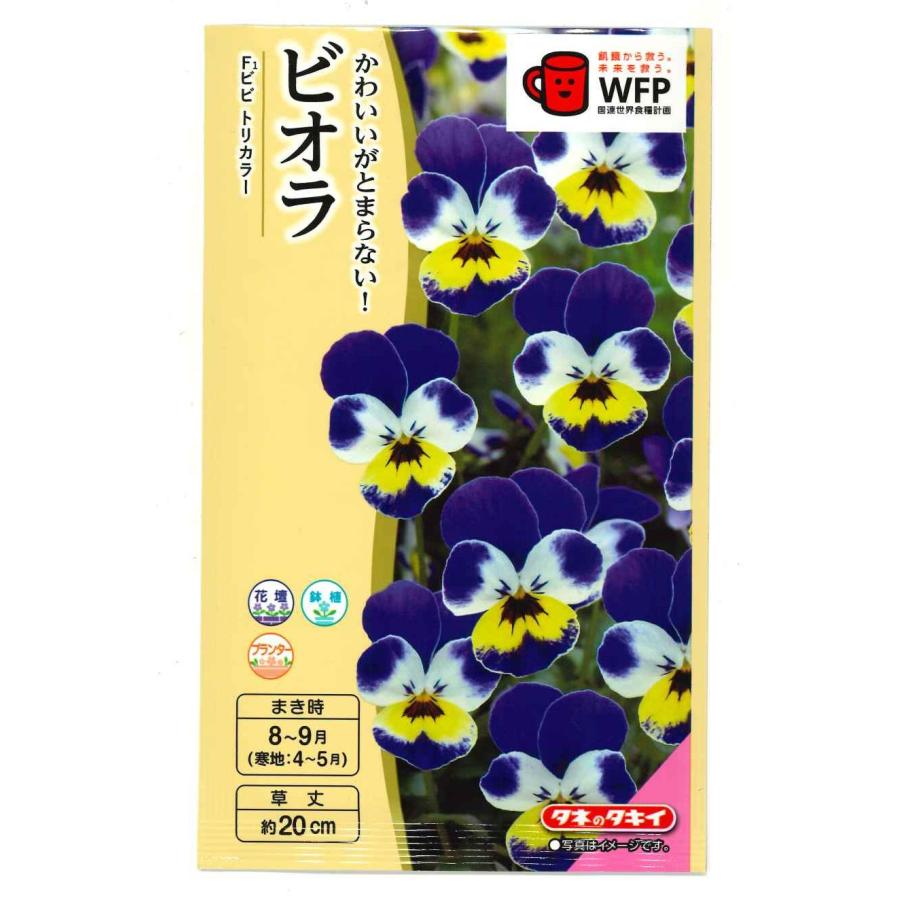 花鳥31 Men's shoes adidas ZX 1000 C Feather Grey/ Grey Three