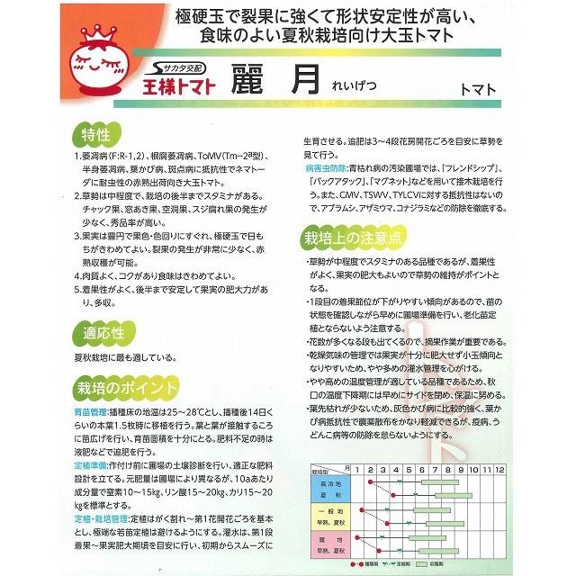大玉トマト 麗月 1000粒 （株）サカタのタネ_1