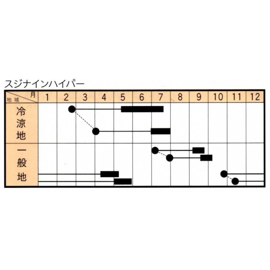 豆類　さやえんどう　スジナインハイパー　200粒　トキタ種苗（株）｜green-loft｜02