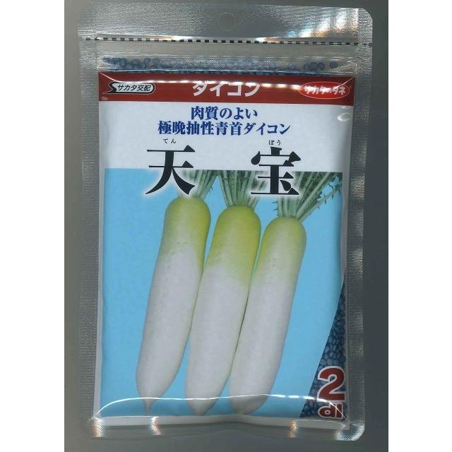 大根 天宝 2dl （株）サカタのタネ