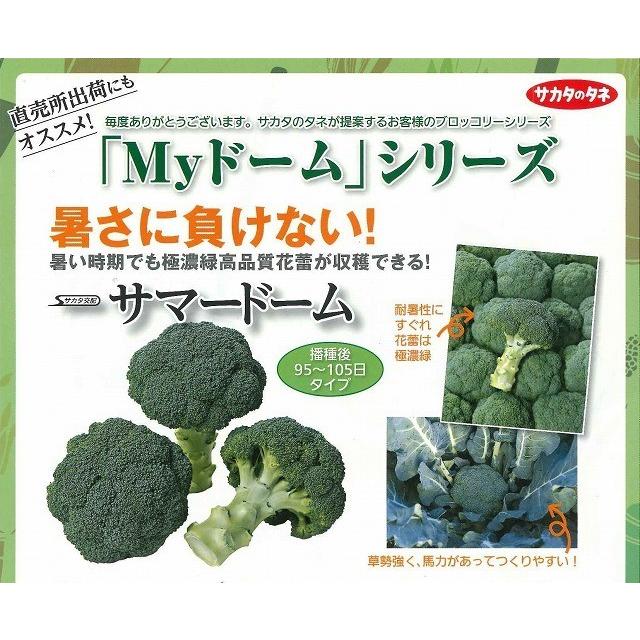 正規店仕入れの 送料無料 ブロッコリー サマードーム コート5000粒 サカタ交配 Trademarketingforce Com Br