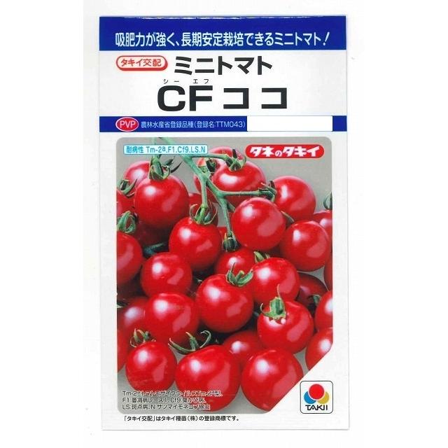 トマト ミニトマト CFココ 16粒 タキイ種苗 ＤＦ :2018012051:グリーンロフトネモト - 通販 - Yahoo!ショッピング