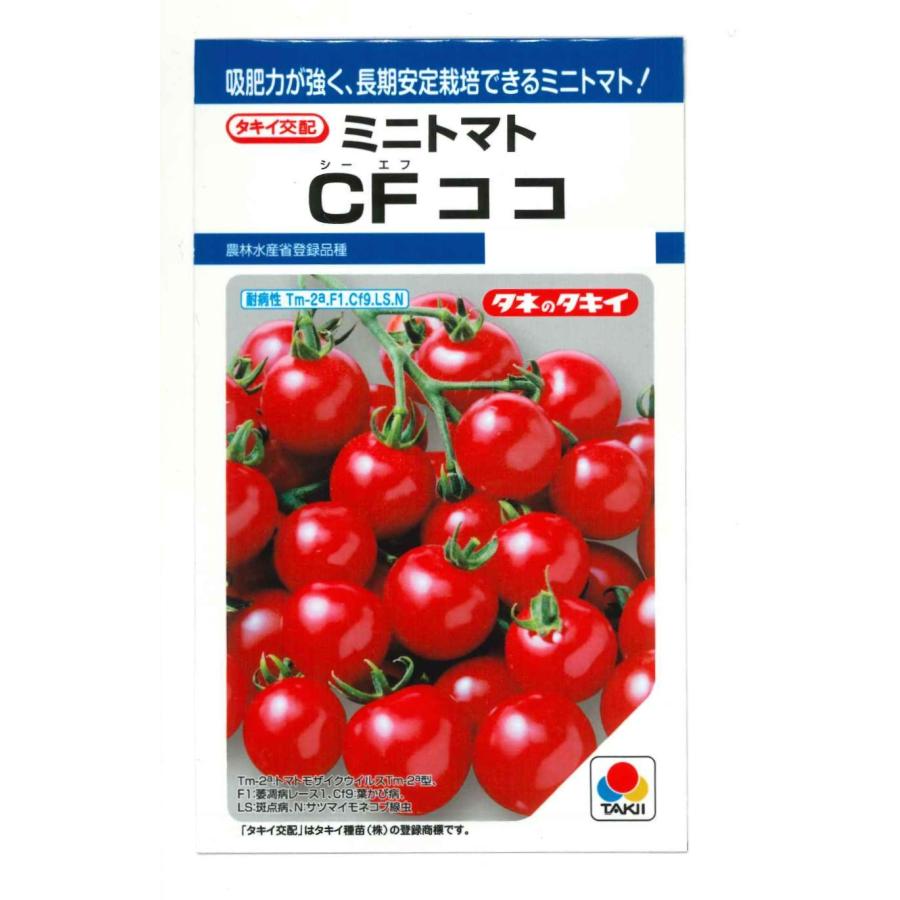ミニトマト Cfココ 18粒 タキイ種苗 ｄｆ グリーンロフトネモト 通販 Yahoo ショッピング