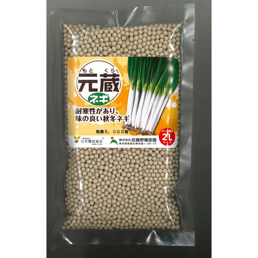 ねぎ 元蔵 ペレット種子5千粒 （株）武蔵野種苗園 : グリーンロフト