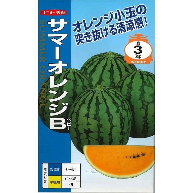 スイカ サマーオレンジB 200粒 ナント種苗（株） : グリーンロフト