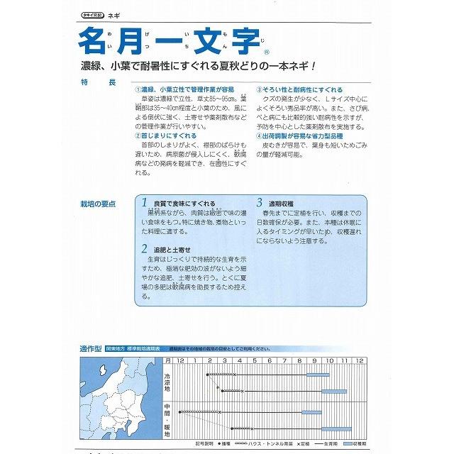ねぎ 名月一文字 1dl タキイ種苗（株）の画像