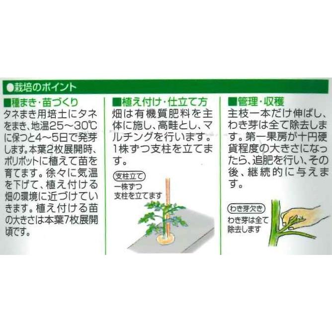 ミニトマト Cfプチぷよ 9粒 松島交配 グリーンロフトネモト 通販 Yahoo ショッピング