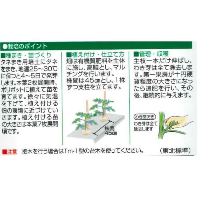 ミニトマト Cfプチぷよイエロー 9粒 松島交配 グリーンロフトネモト 通販 Yahoo ショッピング