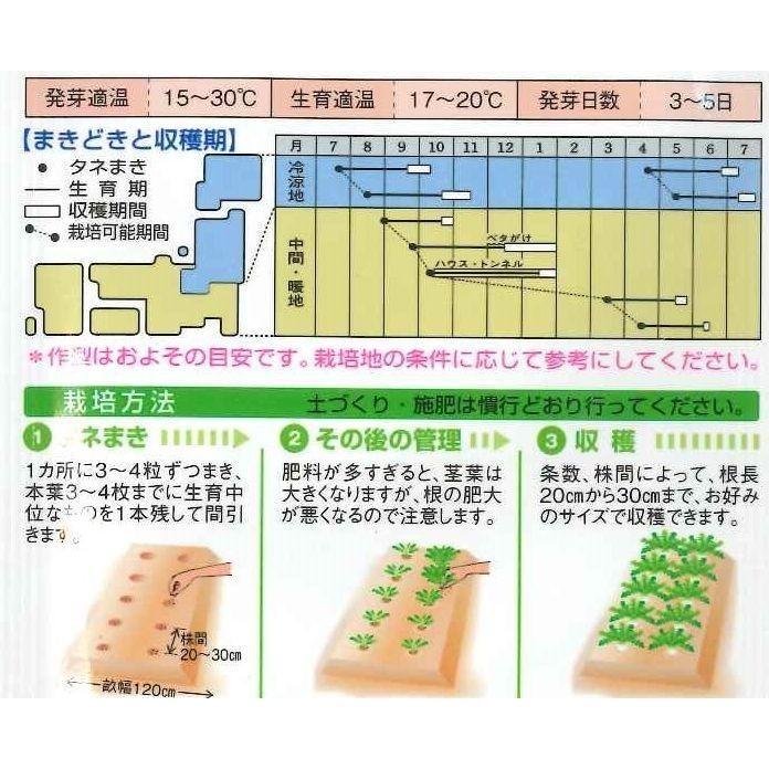 大根 三太郎 2dl タキイ種苗（株）の画像