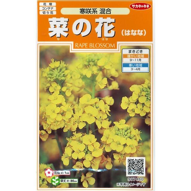 サカタのタネ（サカタノタネ） 花の種 菜の花 寒咲系混合 約120粒 （株）サカタのタネ 実咲200(026345) : グリーンロフトネモト ...