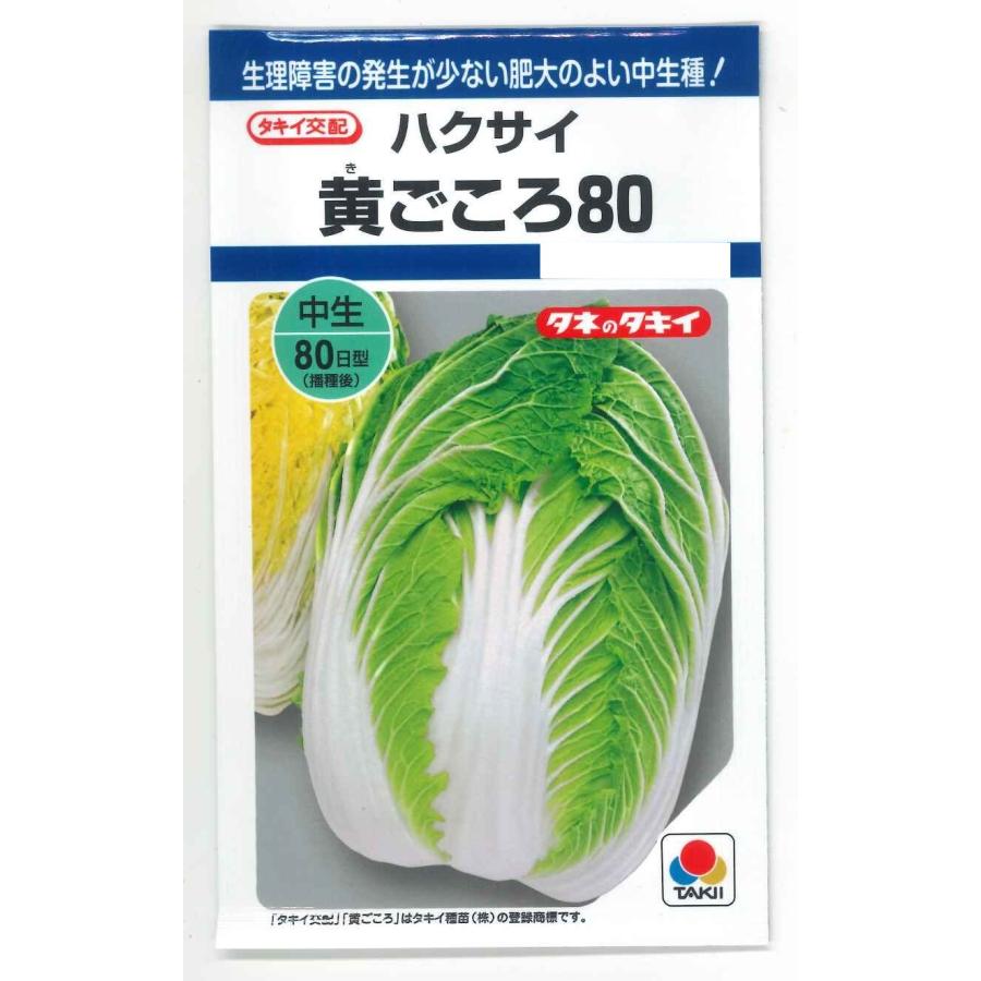 玉の白菜 白菜 黄ごころ80 1ml（約200粒） タキイ種苗（株） DF : グリーン