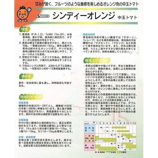 トマト 中玉トマト シンディーオレンジ 1000粒 (株)サカタのタネ 