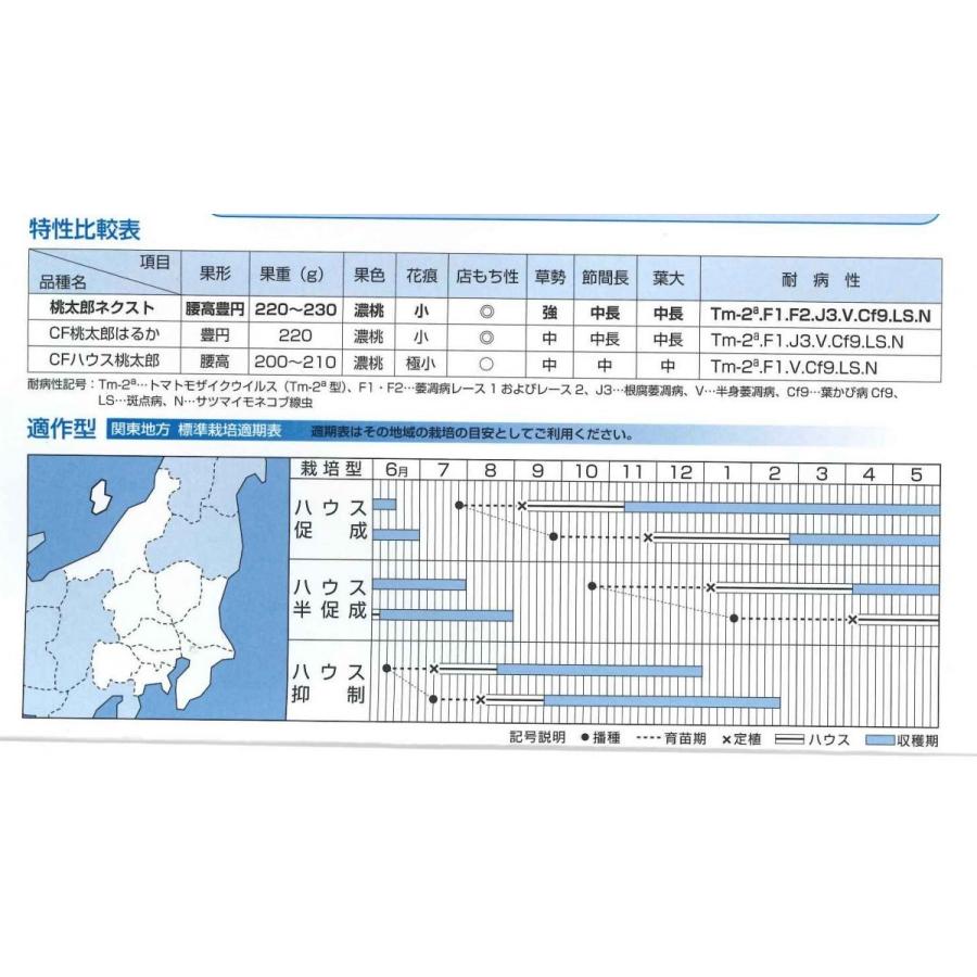 トマト　桃太郎ネクスト 　16粒 タキイ種苗（株）　ＤＦ｜green-loft｜02