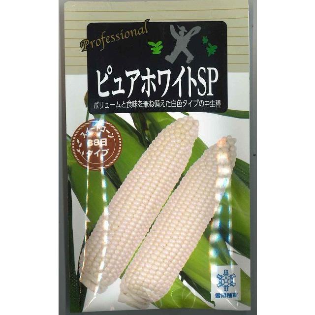 とうもろこし ピュアホワイトSP 200粒 雪印種苗（株）（Yahoo!・グリーンロフトネモト）
