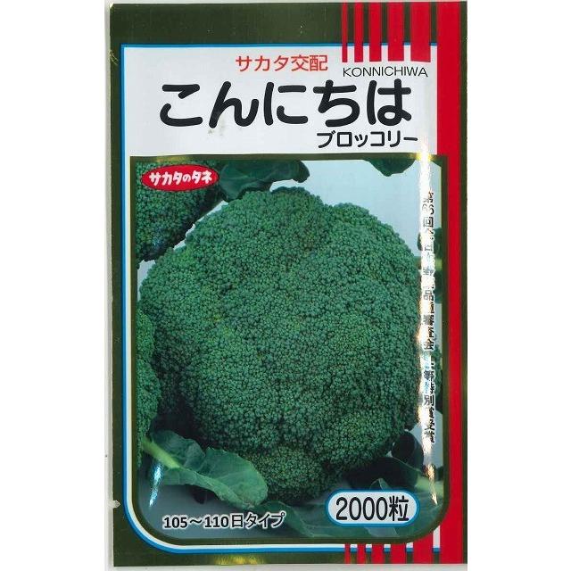 サカタのタネ（サカタノタネ） ブロッコリー こんにちは 2000粒 （株
