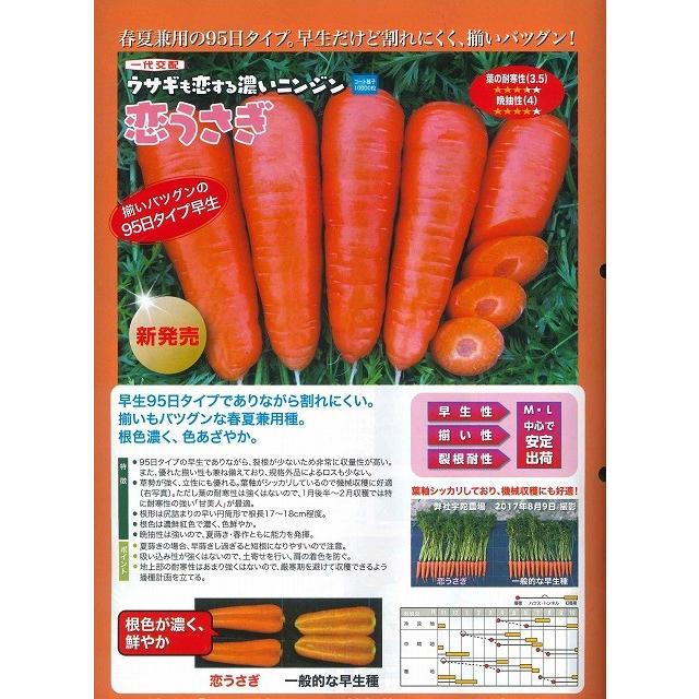 人参 恋うさぎ コート250粒 ナント種苗（株） : グリーンロフトネモト