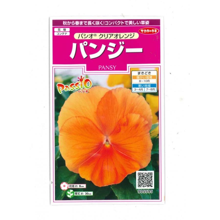 花の種　パンジー　パシオ　 クリアオレンジ　約34粒　サカタのタネ(実咲300）