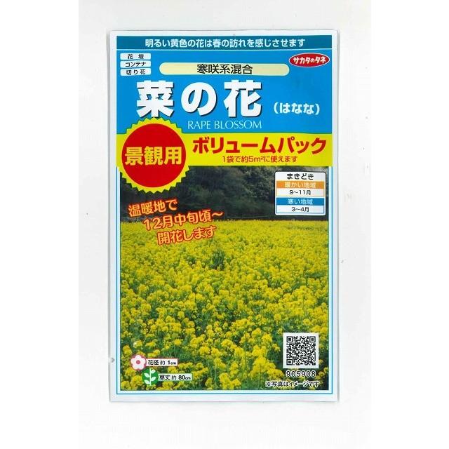 花の種 景観用 菜の花 寒咲系混合 約5平方用 サカタのタネ 実咲300 グリーンロフトネモト 通販 Yahoo ショッピング