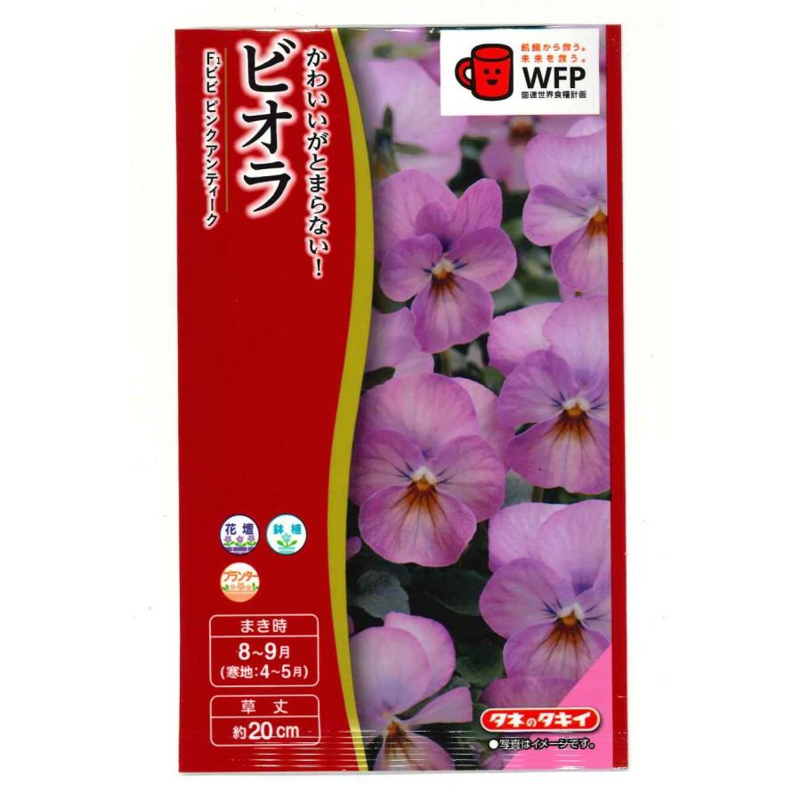 花の種 ビオラ ｆ１ビビ ピンクアンティーク タキイ交配 Nl300 グリーンロフトネモト 通販 Yahoo ショッピング