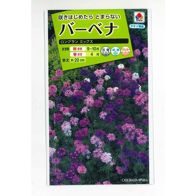公式 花の種バーベナ ロングランミックス タキイ交配 ｎｌ0