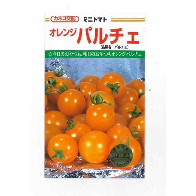 ミニトマト オレンジパルチェ 1000粒 カネコ種苗（株） : グリーン
