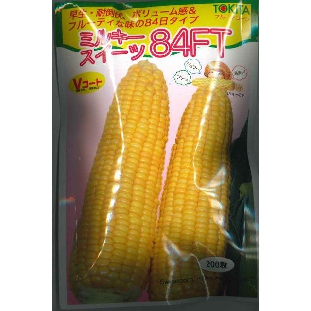 とうもろこし ミルキースイーツ84FT 200粒 トキタ種苗（株