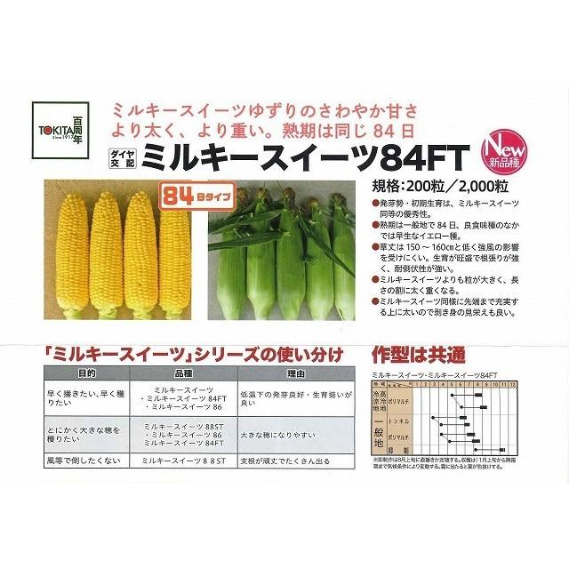 とうもろこし ミルキースイーツ84FT 200粒 トキタ種苗（株