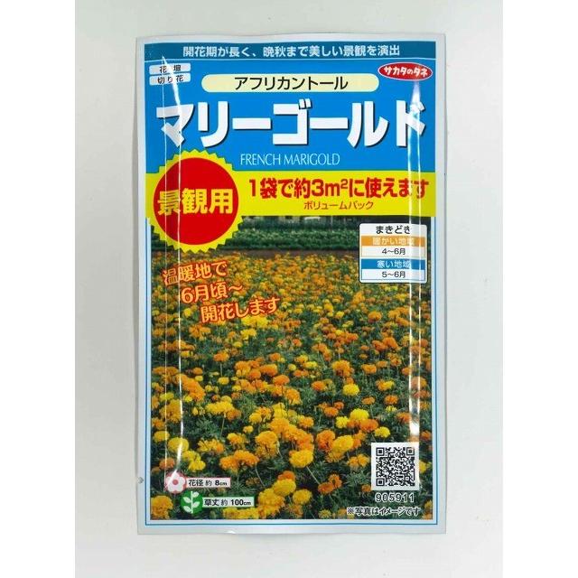 花の種　マリーゴールド　アフリカントール　約３平米用　（株）サカタのタネ　実咲350｜green-loft