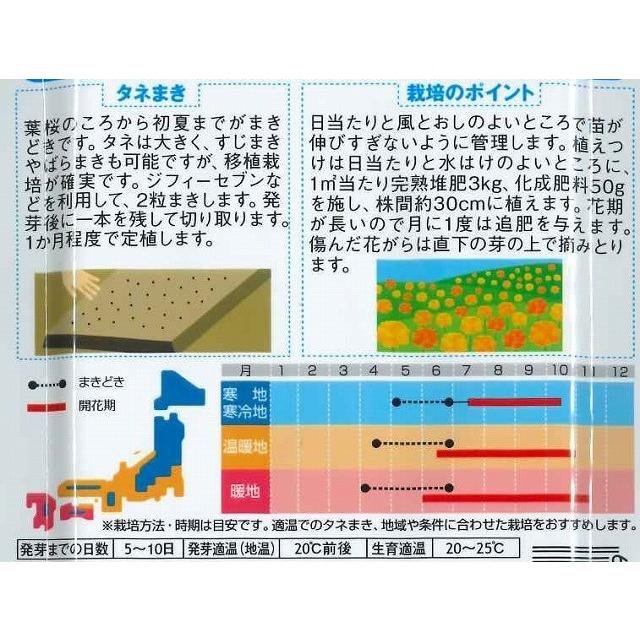 花の種　マリーゴールド　アフリカントール　約３平米用　（株）サカタのタネ　実咲350｜green-loft｜02