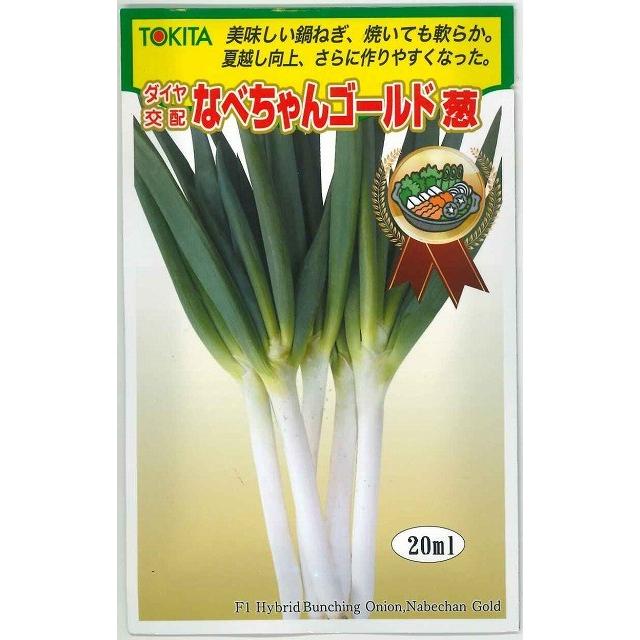 ねぎ なべちゃんゴールド葱 20ml トキタ種苗（株） : グリーンロフト
