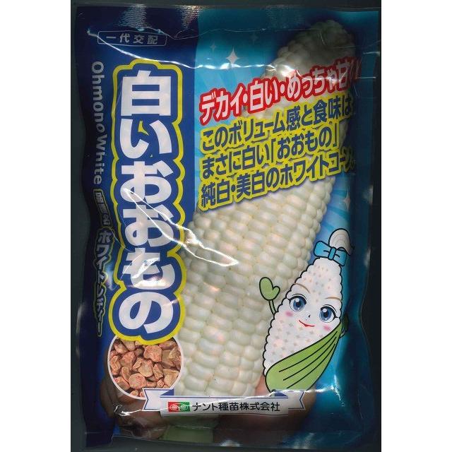 とうもろこし 白いおおもの 2000粒 ナント種苗（株） : グリーンロフト