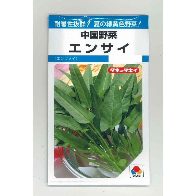 中国野菜 エンサイ 15ｍｌ タキイ種苗 ｍｆ グリーンロフトネモト 通販 Yahoo ショッピング