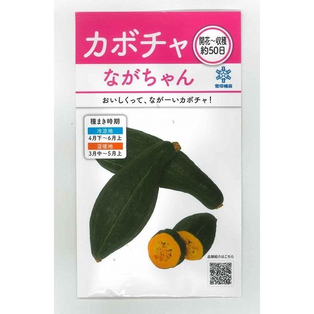 かぼちゃ ながちゃん 8ml(約13粒) 雪印種苗（株） : グリーンロフト