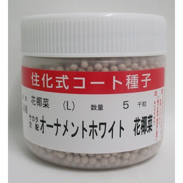 カリフラワー オーナメントホワイト ペレット5000粒 （株）サカタのタネ