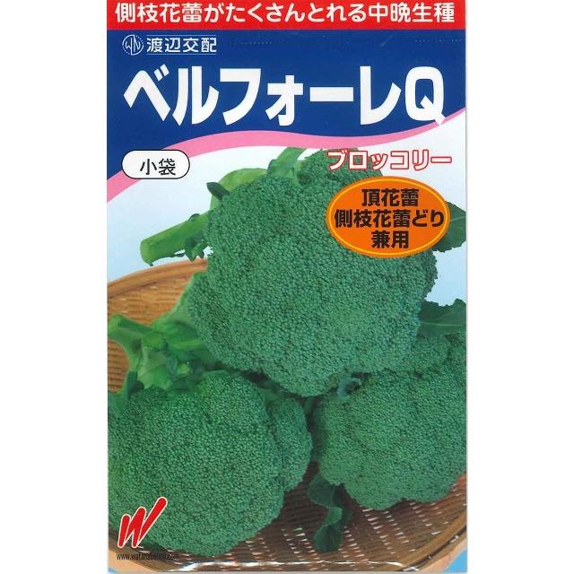 147円 新作モデル ブロッコリー ベルフォーレｑ 70粒 渡辺農事