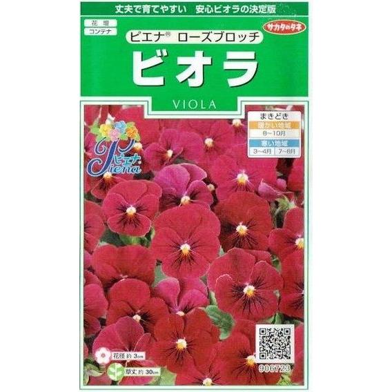 花の種 ビオラ ピエナ ローズブロッチ 粒 サカタのタネ 実咲0 074 グリーンロフトネモト 通販 Yahoo ショッピング