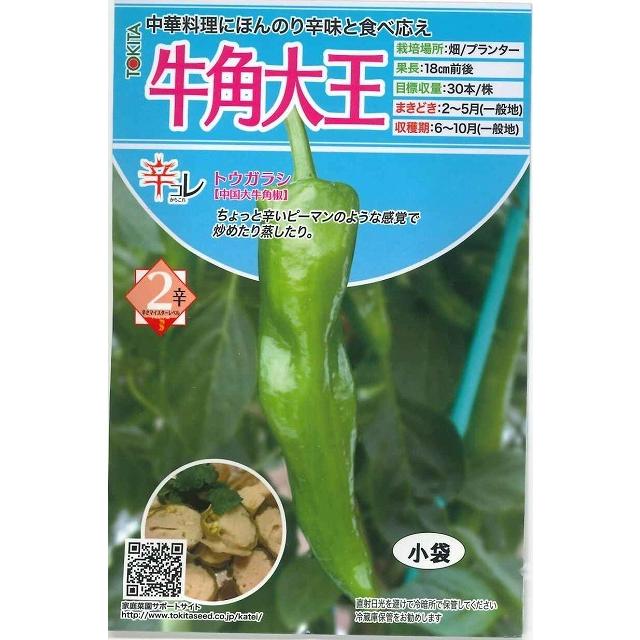 とうがらし 辛コレ 牛角大王 20粒 トキタ種苗（株） : グリーンロフト