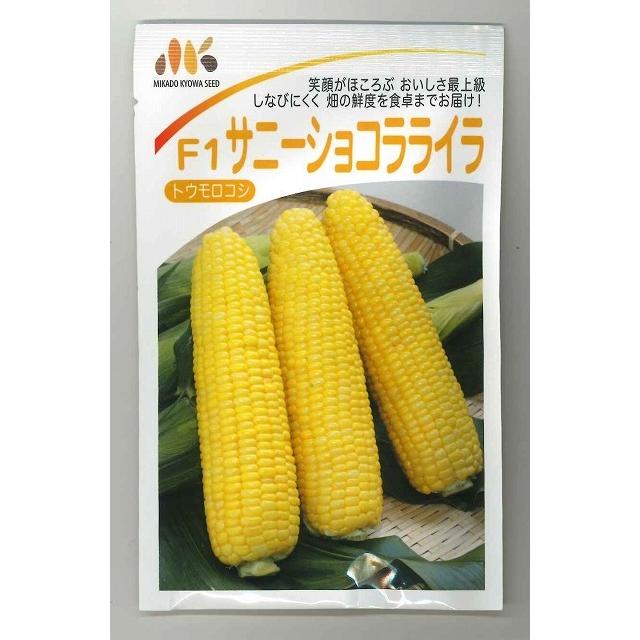 とうもろこし サニーショコラ ライラ 200粒 ヴィルモランみかど（株